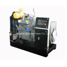 Diesel Power Generator 30 Kw with Ricardo Diesel Engine